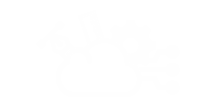 POST-PROCESSING, ANALYSIS AND OUTPUT EXPORT